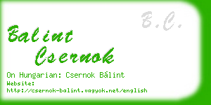 balint csernok business card